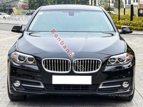 BMW 5 Series 520i 2016 - ảnh 1
