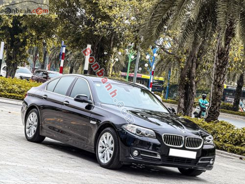 BMW 5 Series 520i 2016 - ảnh 2