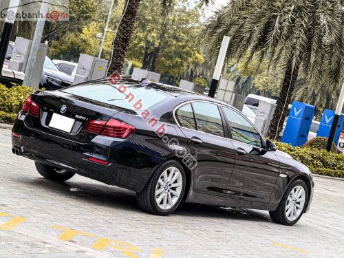 BMW 5 Series 520i 2016 - ảnh 5
