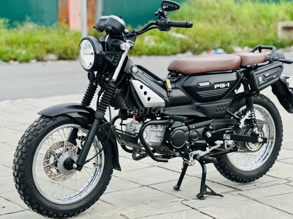 Yamaha PG 2025 - ảnh 4