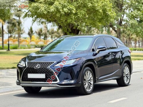 Lexus RX 300 2020 - ảnh 1