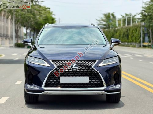 Lexus RX 300 2020 - ảnh 2