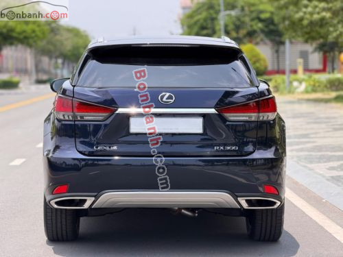 Lexus RX 300 2020 - ảnh 3