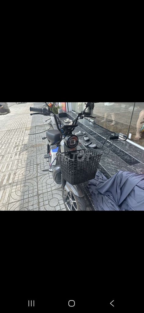 Xe m 2025 - ảnh 3