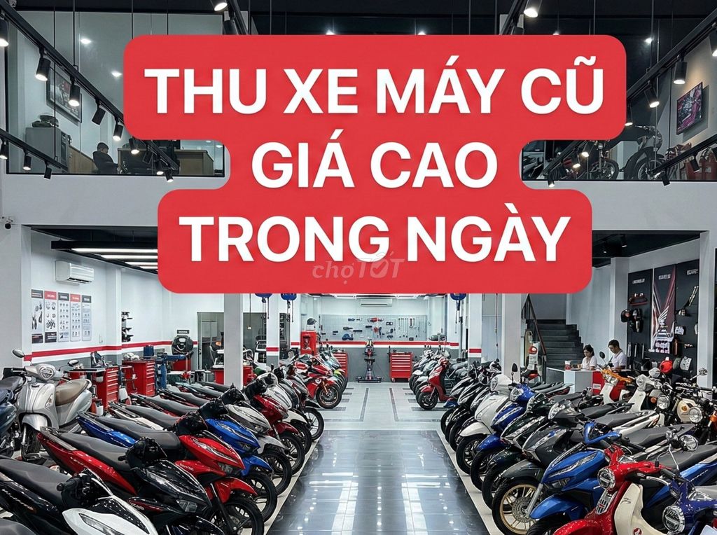 THU XE 2024 - ảnh 1