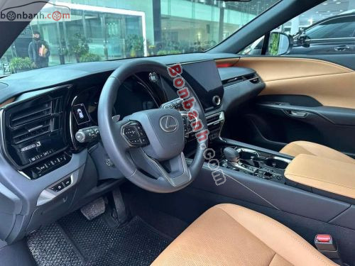 Lexus RX 350 Premium 2024 - ảnh 3