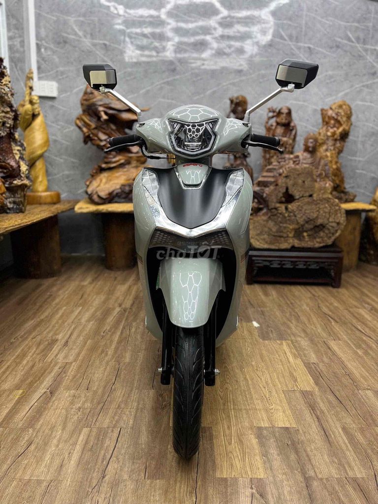 Velia 2025 - ảnh 1