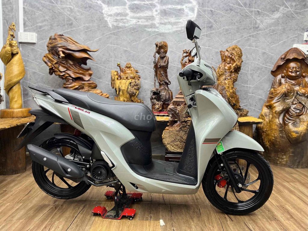Velia 2025 - ảnh 3