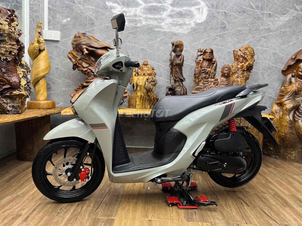 Velia 2025 - ảnh 4