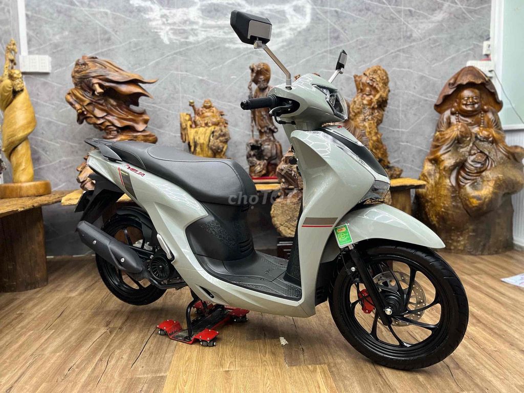 Velia 2025 - ảnh 5