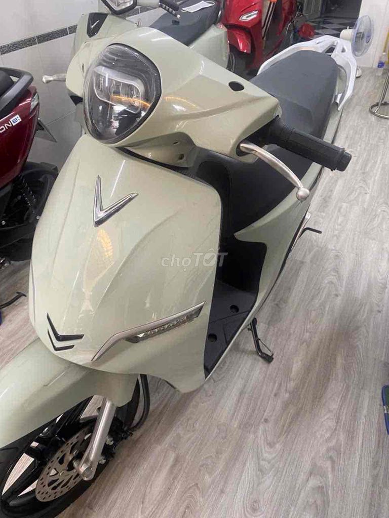 Xe m 2025 - ảnh 1