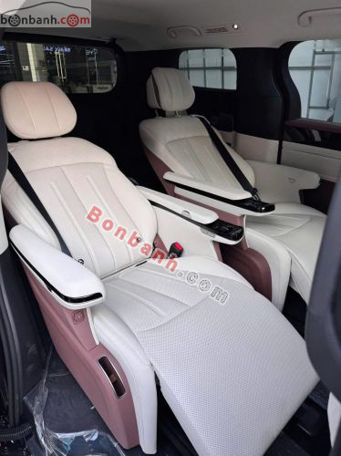 BYD M9 Premium 2026 - ảnh 5