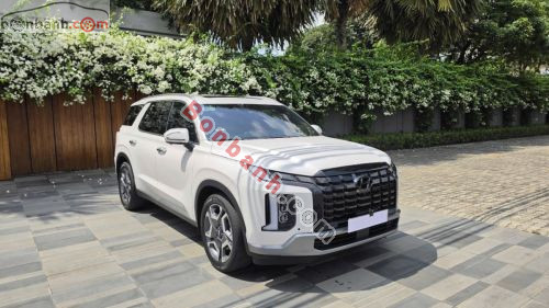 Hyundai Palisade Prestige 2.2 AT HTRAC 2024 - ảnh 3