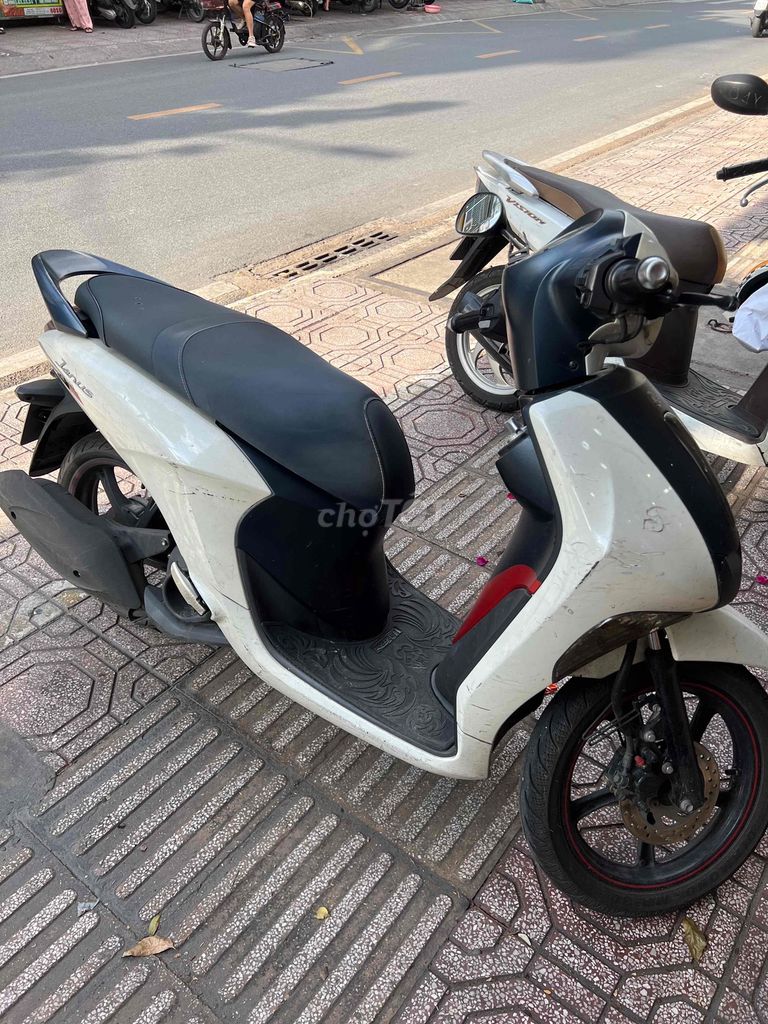 Yamaha Janus 2023 - ảnh 1