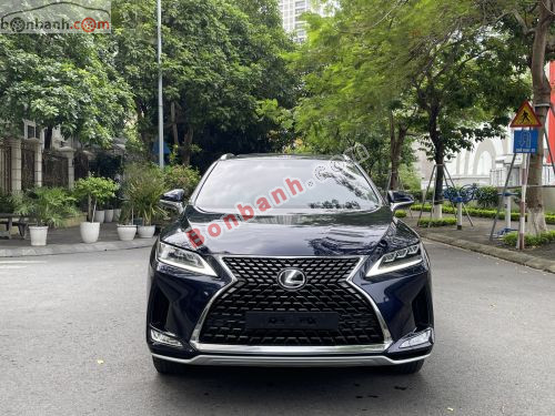 Lexus RX 300 2020 - ảnh 1