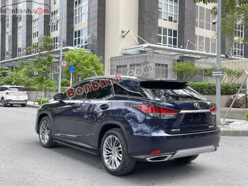 Lexus RX 300 2020 - ảnh 4