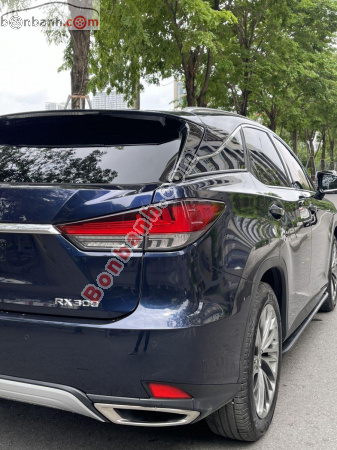 Lexus RX 300 2020 - ảnh 5