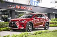 Lexus NX 300 2019 - ảnh 1