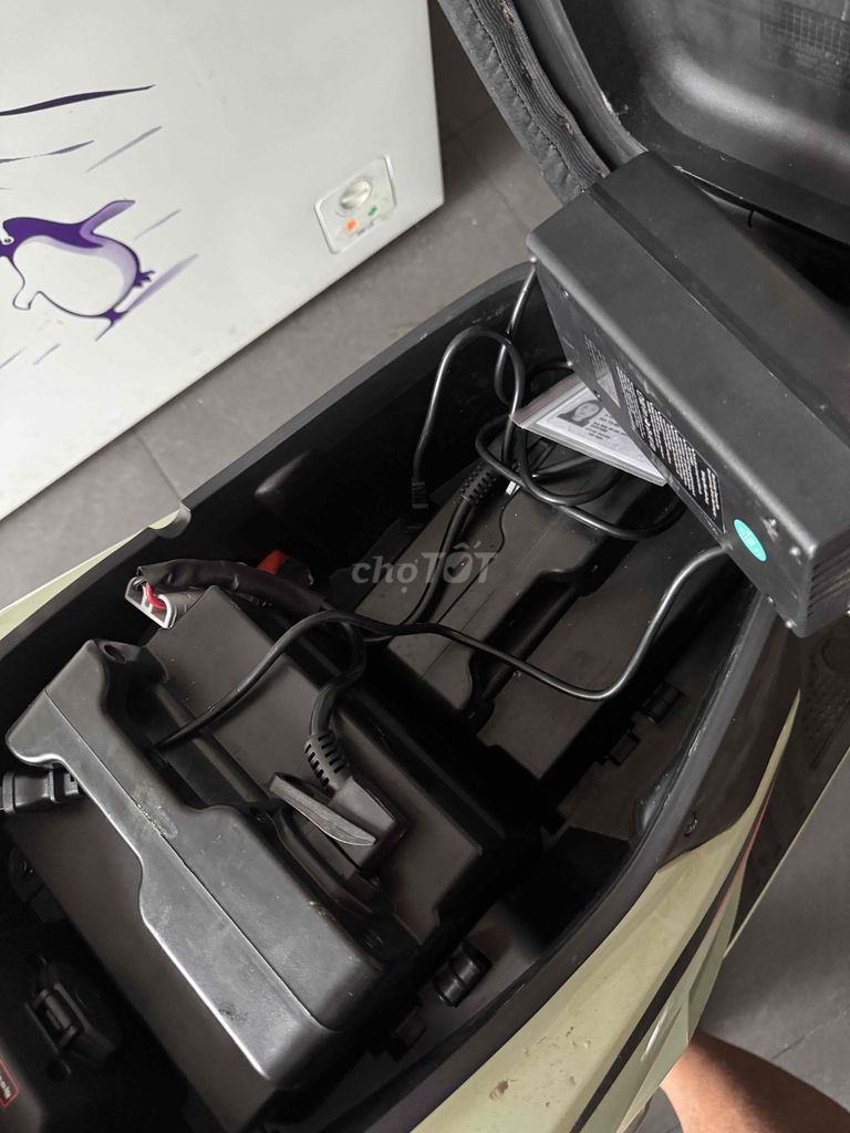 Xe m 2025 - ảnh 5