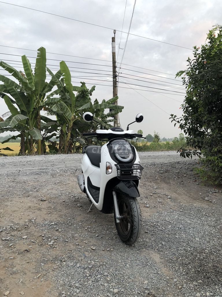 Honda Scoopy 2025 - ảnh 2