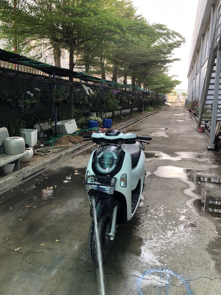 Honda Scoopy 2025 - ảnh 4