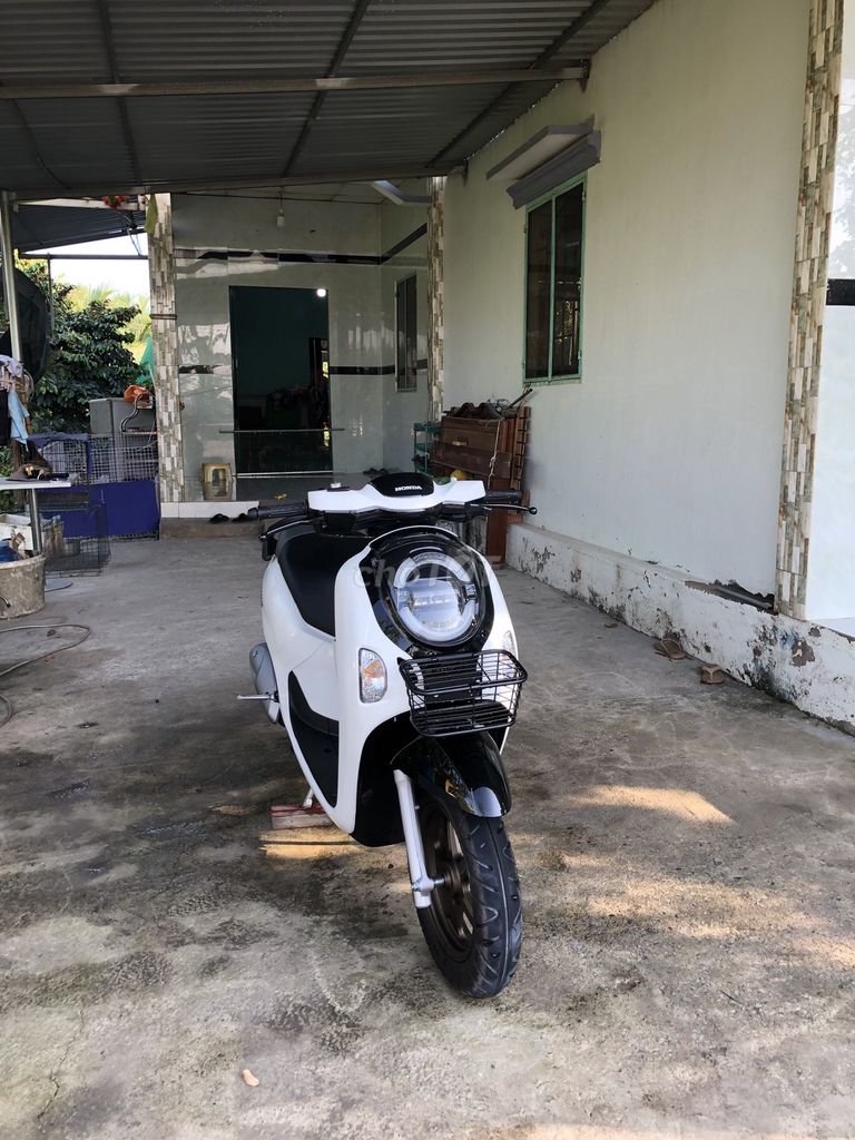 Honda Scoopy 2025 - ảnh 5