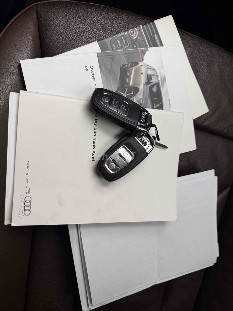 Audi Q5 2016 - ảnh 2