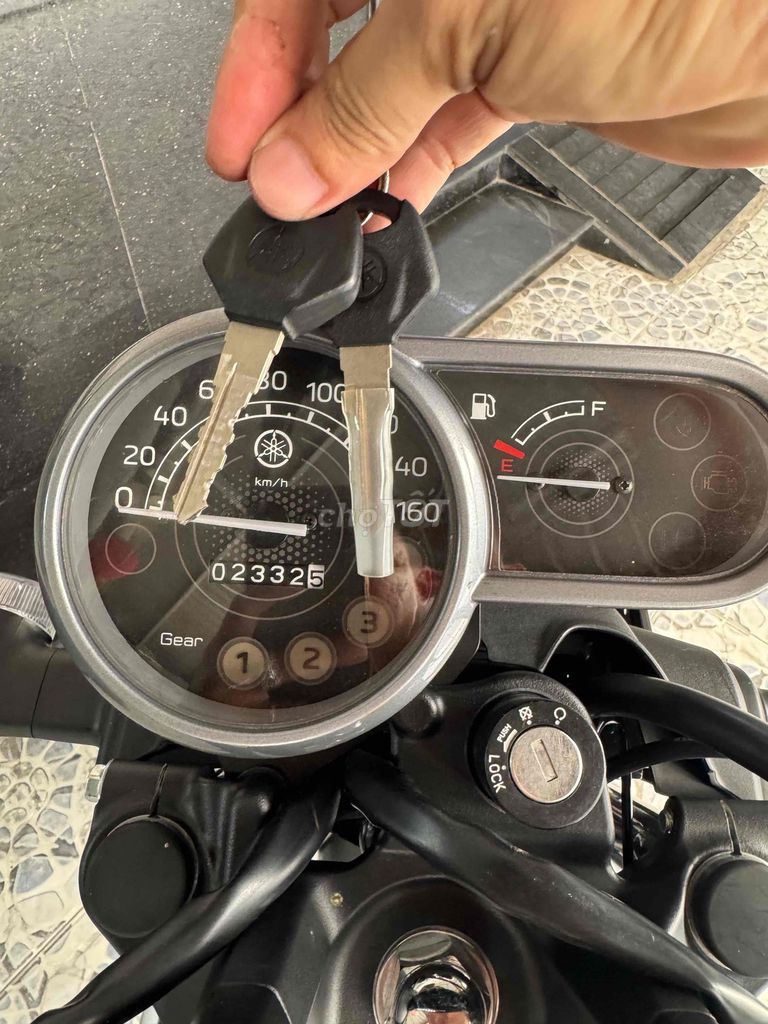 Yamaha PG 2024 - ảnh 4