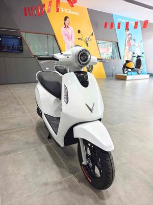 Xe m 2025 - ảnh 1