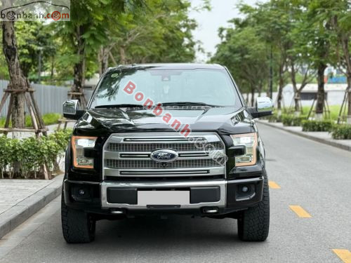 Ford F150 Platinum 2015 - ảnh 2