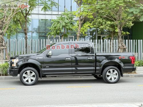 Ford F150 Platinum 2015 - ảnh 3
