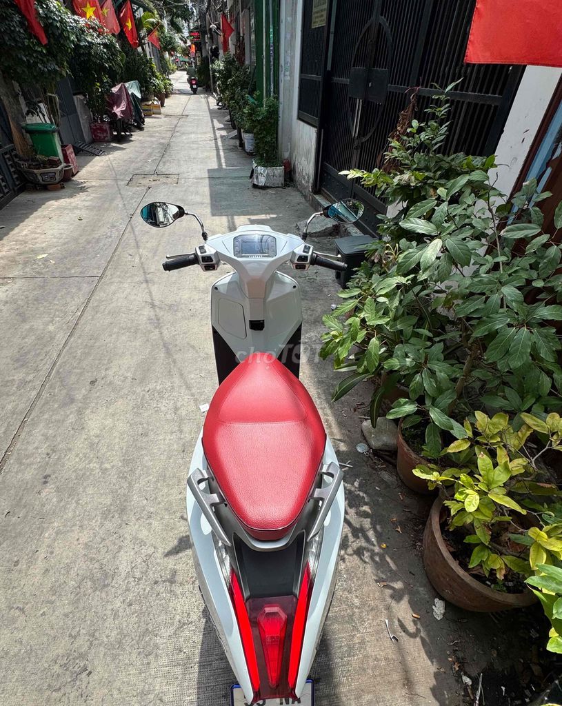 Cần b 2022 - ảnh 4