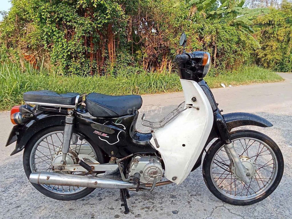Xe m 2015 - ảnh 1