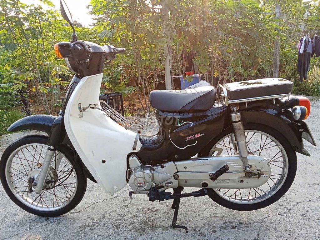 Xe m 2015 - ảnh 3