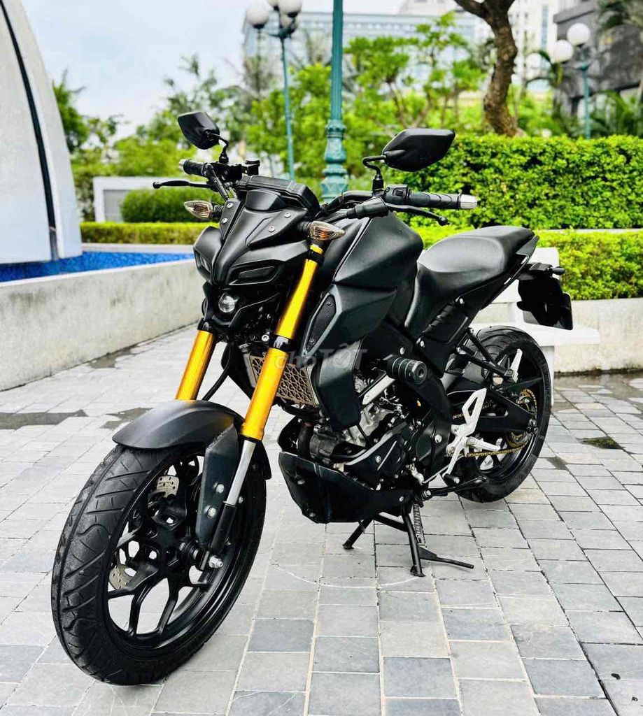 Yamaha MT 2020 - ảnh 1