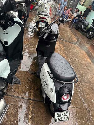 Xe m 2026 - ảnh 1