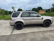 Ford Escape 2010 - ảnh 1