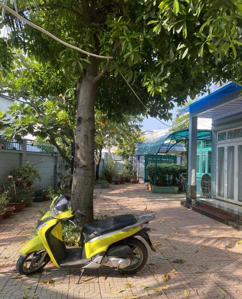 Honda SH 2009 - ảnh 4