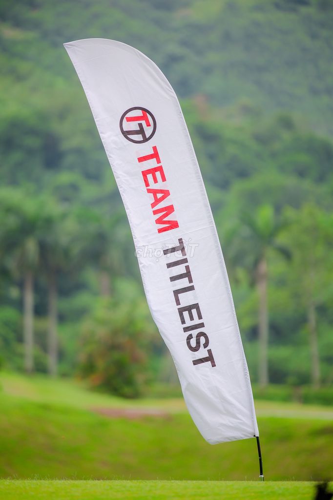 Nissan 2016 - ảnh 1