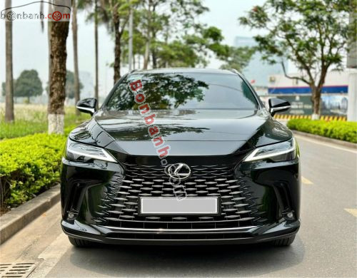 Lexus RX 350 Premium 2024 - ảnh 1