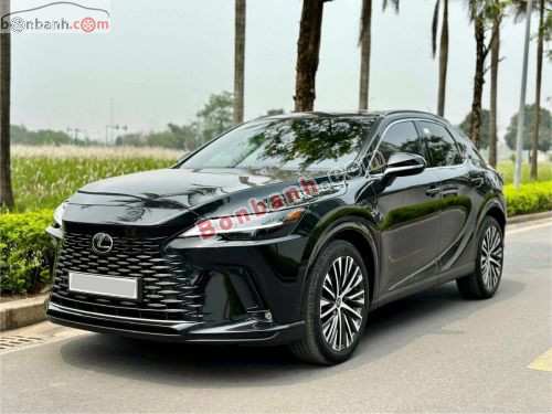 Lexus RX 350 Premium 2024 - ảnh 2