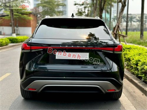 Lexus RX 350 Premium 2024 - ảnh 3