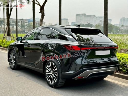 Lexus RX 350 Premium 2024 - ảnh 4