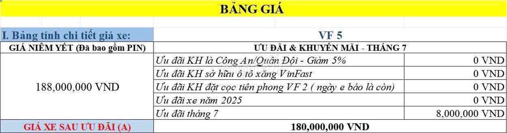 VinFast - ảnh 1