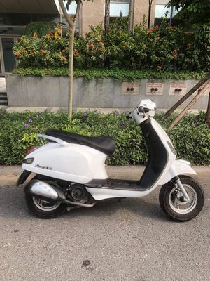Dibao Spancy 2021 - ảnh 1