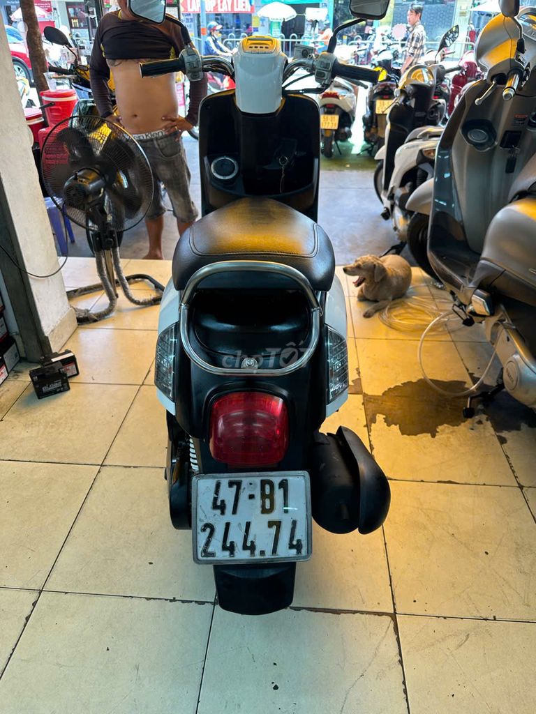 Yamaha Cuxi 2011 - ảnh 5
