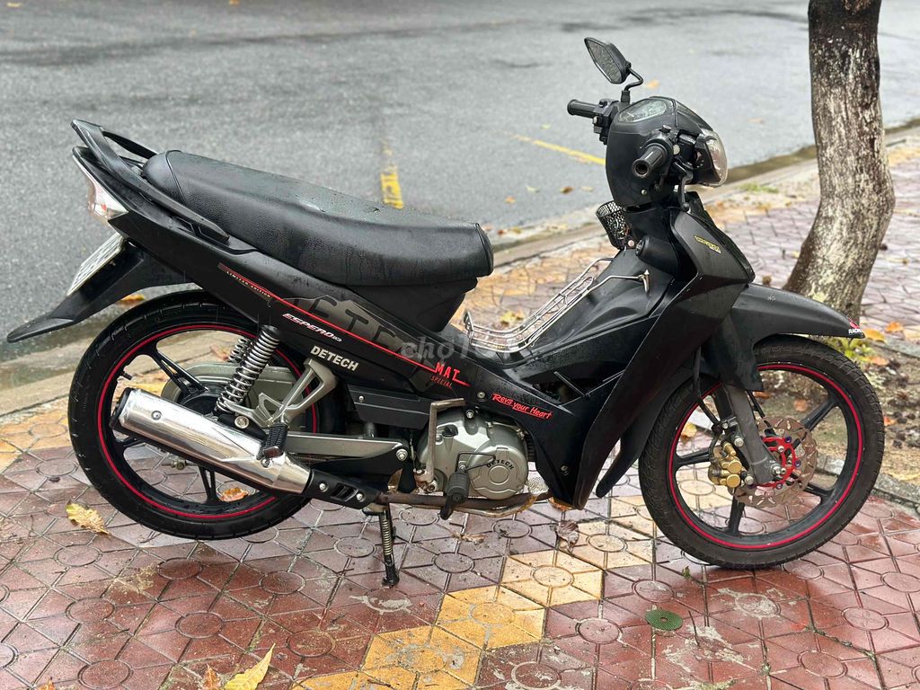 Sirus 2022 - ảnh 4