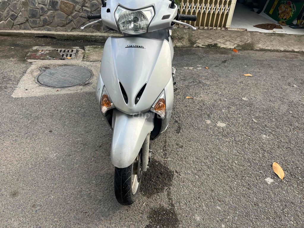 xe m 2010 - ảnh 2