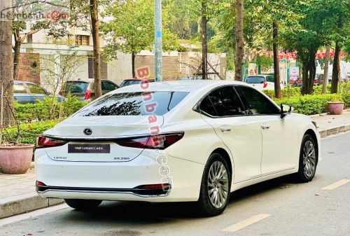 Lexus ES 250 2025 - ảnh 4