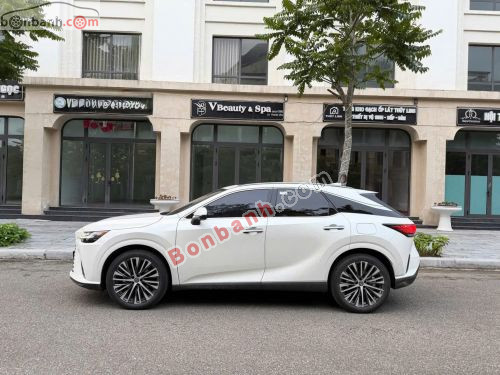 Lexus RX 350h Premium 2025 - ảnh 2